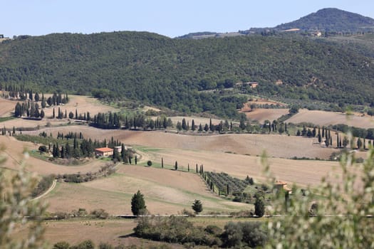 The rural landscape near Pienza in Tuscany. Italy