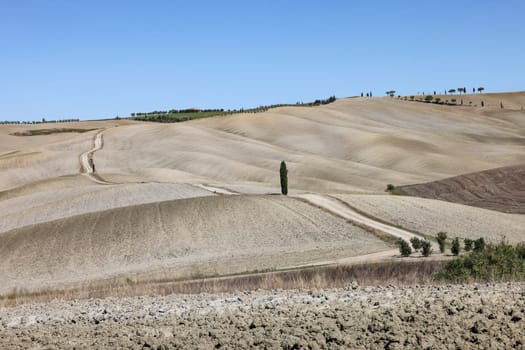 The rural landscape near San Quirico in Tuscany. Italy