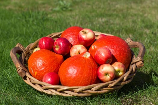 pumpkins and apples in a basket on the grass