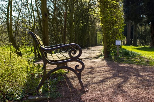romantic bench in peaceful park in spring