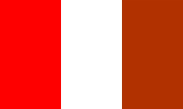 Vector realistic illustration of Flag of Vilnohorsk on a transparent background.
