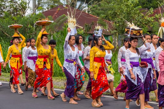Bali, Indonesia: 17 August 2020: Royal cremation ceremony. Balinese hindus religion procession. Bade and Lembu Black Bull symbol of transportation for the spirit to the heaven
