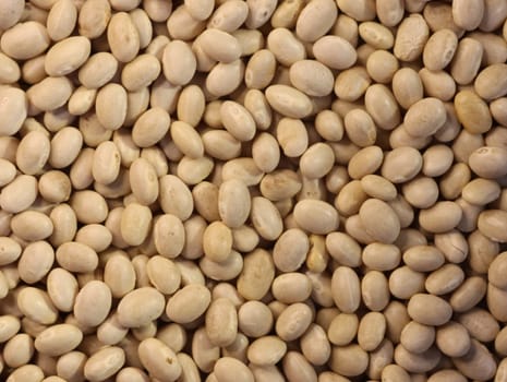 delicious beans beans healthy natural legumes needed background