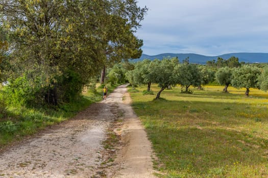 Navarre, Spain, 28 April, 2023: Pilgrim walk along the Camino De Santiago, the Way of St. James pilgrimage route, Navarra, Spain.