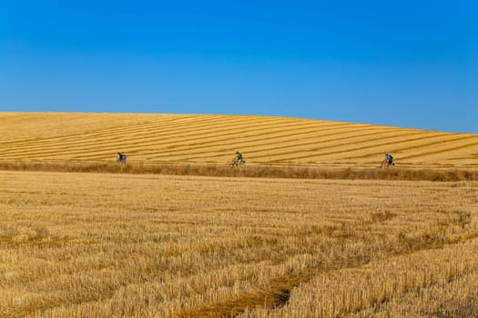 Navarre, Spain, 26 August, 2022: Pilgrims walk along the Camino De Santiago, the Way of St. James pilgrimage route, Navarra, Spain.