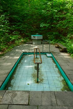 Natural kneipp basin in german green forest