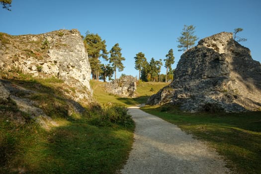 Footpath between dolomite cliffs and tree landscape scenery