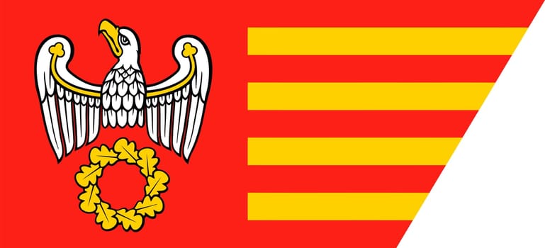 Flag of the Pila County