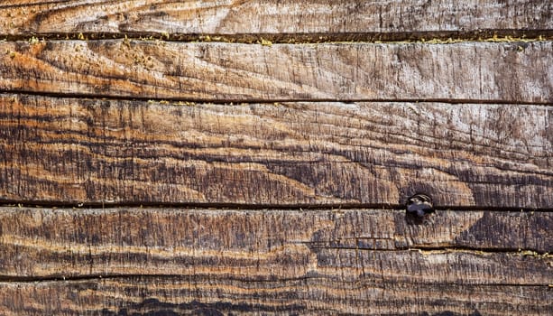 vintage wood background texture with knots and nail holes