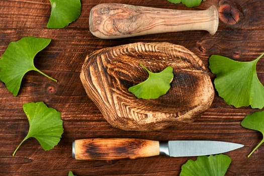 Fresh green leaves ginkgo biloba leaves in traditional Chinese medicine. Popular nutritional supplement