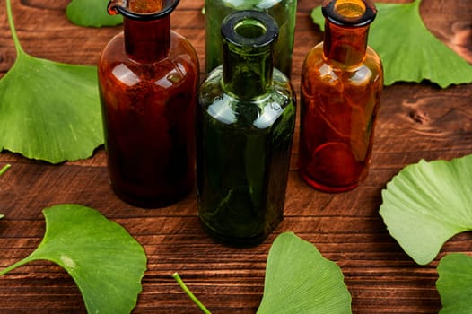 Fresh green leaves ginkgo biloba leaves in traditional Chinese medicine. Popular nutritional supplement