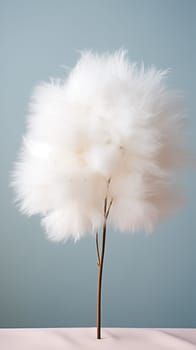 White cotton grass on a pastel background. abstract background.Generative AI