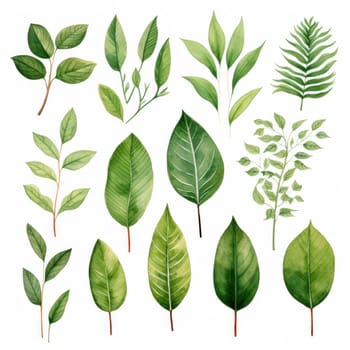 Watercolor tropical floral illustration with green leaves and greenery on white background.Generative AI