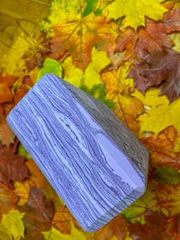purple parallelogram on the background of colorful autumn maple leaves