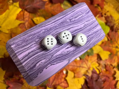 purple parallelogram on the background of colorful autumn maple leaves