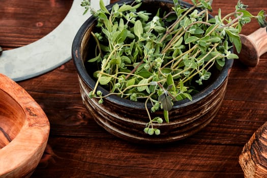Marjoram, spice with a sweet smell and a medicinal plant. Marjoram leaves