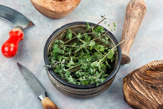 Marjoram, spice with a sweet smell and a medicinal plant. Marjoram leaves