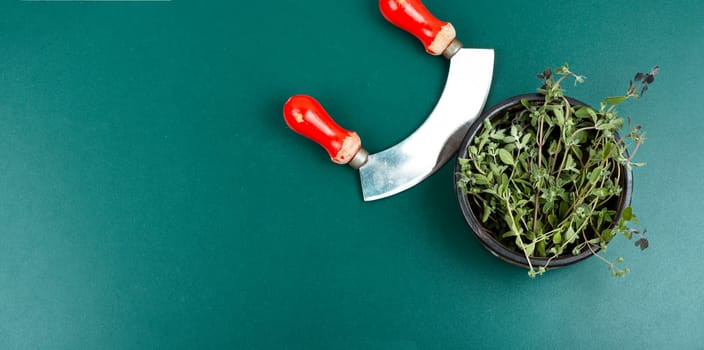 Marjoram, spice with a sweet smell and a medicinal plant. Marjoram leaves