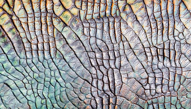 colorful iguana reptile skin, close up