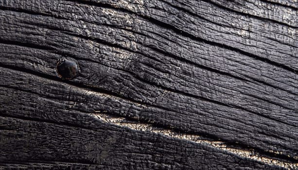 Wood texture. Macro photo. Black texture background. Top view.