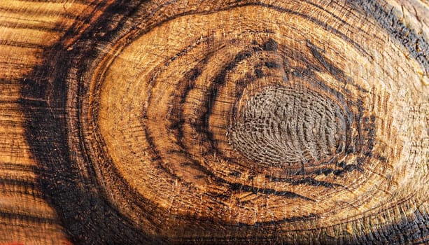 Wood grain texture. Ebony wood, can be used as background, round pattern background, isolated on white background