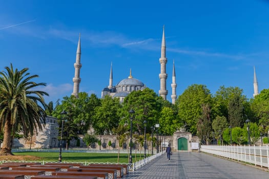 Istanbul, Turkey - June 05, 2023: Man Walking in the Park with Blue Mosque in the Background