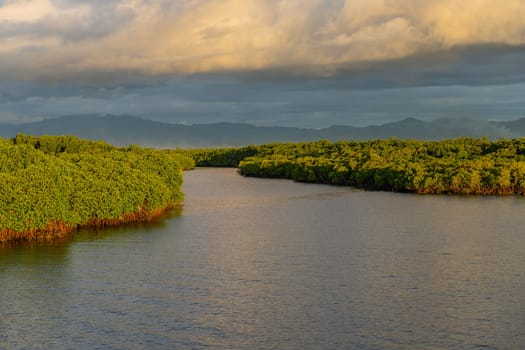 Mangroves and lush vegetation with mountains behind, Port Denarau, near Nadi, Viti Levu, Fiji Islands, South Pacific