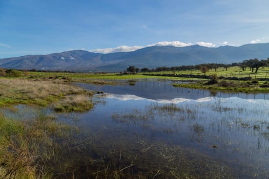 Landscape with trees reflected in water near Arroyo de la Luz. Extremadura. Spain.