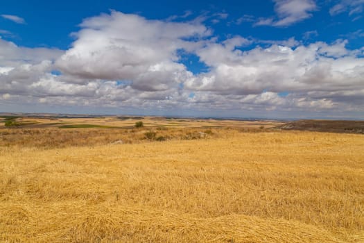 view of a crop field in the north of Spain