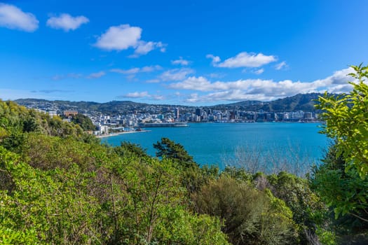 Scenic view of Wellington, buildings and hillside residences. New Zealand.