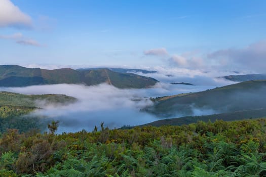 View of Galicia mountain landscape at the sunrise along the way of St. James. Lugo