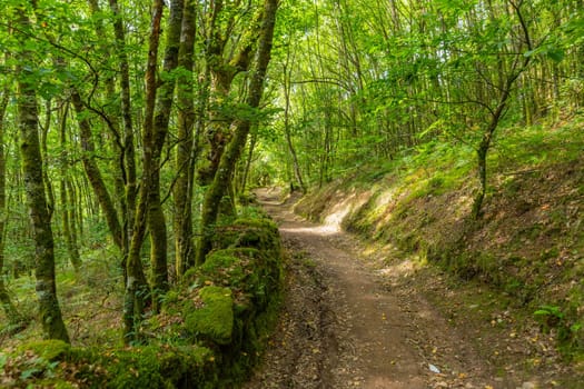 Landscape along the Camino de Santiago trail between Grandas de Salime and Fonsagrada, Asturias, Spain