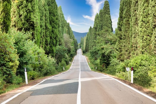 Tuscany, Italy. Asphalt line in nature, panoramic road to travel destination Bolgheri