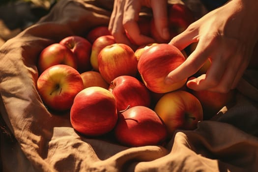Female hands putting freshly picked apples on table. Ripe fresh apples on linen cloth. Healthy food. Juicy sweet fruits. Autumn season. Organic product. Harvest time. Apples with leaves