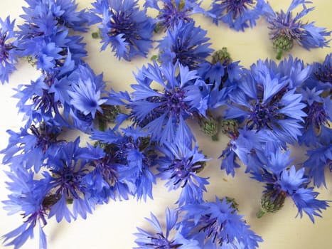 Still life with blue cornflowers flowers on a wooden board