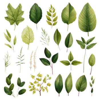 Watercolor tropical floral illustration with green leaves and greenery on white background.Generative AI