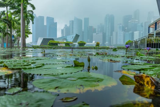 Marina Bay, Singapore - June 04, 2023 - Singapore under heavy tropical rain
