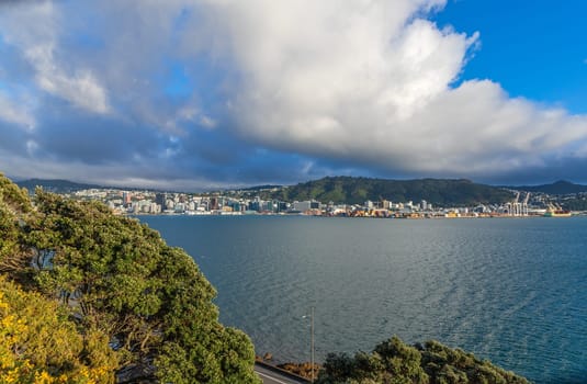 Scenic view of Wellington, buildings and hillside residences. New Zealand.