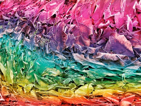 hoarfrost on fallen leaves in winter in rainbow colors