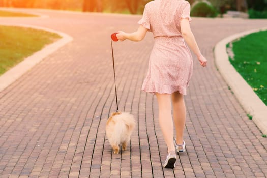 Young beautiful female in a blue mask with a dog on a background of a blossoming tree. Coronavirus pandemic.