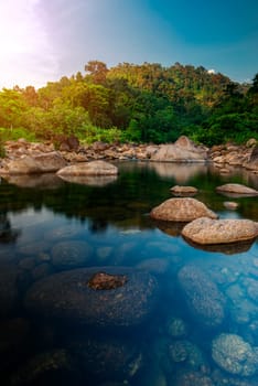River stone and tree with sun light, View water river tree, Stone river and sun ray in forest