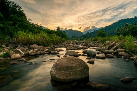 River stone and tree with sun light, View water river tree, Stone river and sun ray in forest