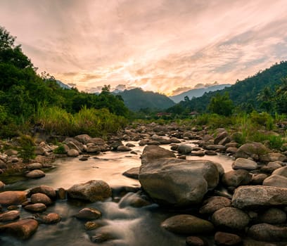 Stone river and sun ray in forest, River stone and tree with sun beam, View water river tree