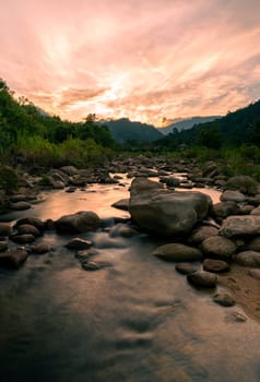 River stone and tree with sun light, View water river tree, Stone river and sun ray in forest
