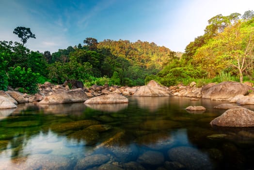 River stone and tree with sun light, View water river tree, Stone river and sun ray in forest