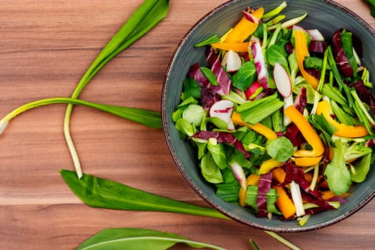 Tasty spring raw salad with vegetables and bear leek or wild garlic. Space for text