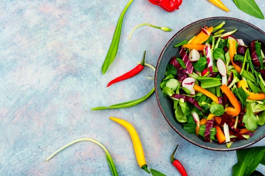 Tasty spring raw salad with vegetables and bear leek or wild garlic. Space for text