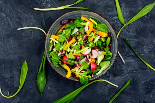 Tasty spring raw salad with vegetables and bear leek or wild garlic. Space for text
