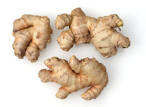 Ginger,Zingiber officinale is a sued fruit that is used as a seasoning and as a medicinal plant. Ginger,Zingiber officinale,is a southern fruit that is used as a condiment and as a medicinal plant.