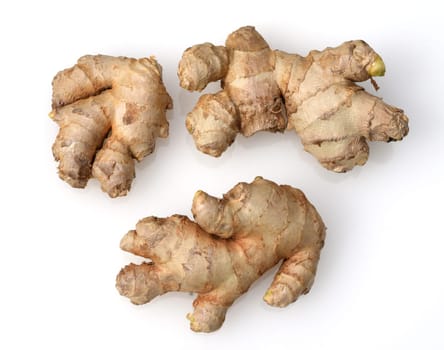 Ginger,Zingiber officinale is a sued fruit that is used as a seasoning and as a medicinal plant. Ginger,Zingiber officinale,is a southern fruit that is used as a condiment and as a medicinal plant.